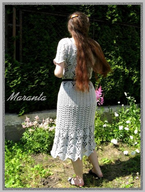 maranta