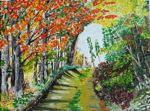 lasek