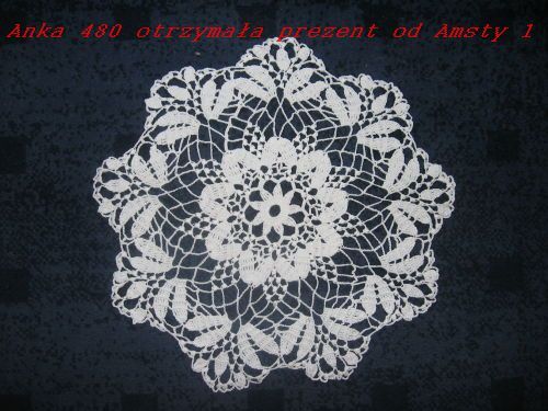 Amsta 1 dla Anki 480