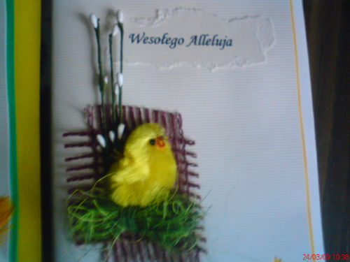 mazionta dla basiaaa