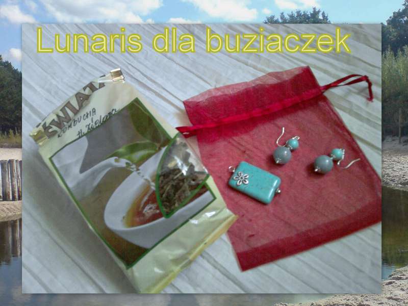 Lunaris dla buziaczek